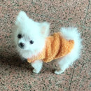 Teacup Dog Sweater - Cute Print Design for Tiny Dogs