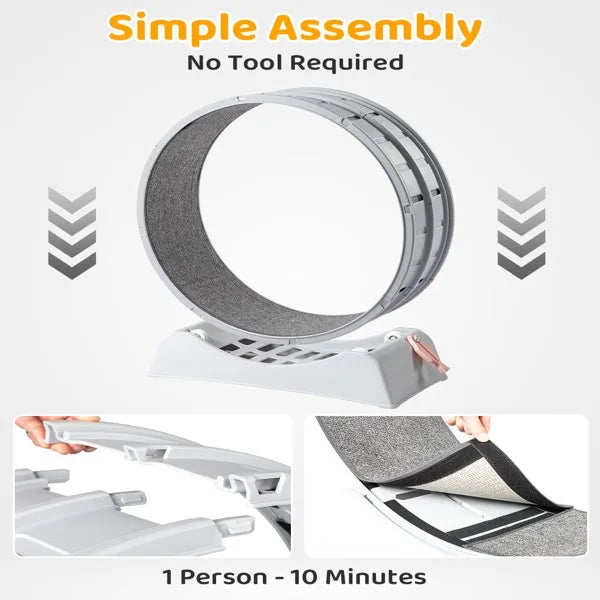 31-Inch Cat Exercise Wheel