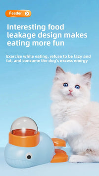 Smart Puzzle Treat Dispenser