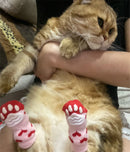 Pet Knit Sock Slippers - 4-Piece