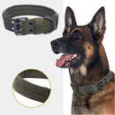 Adjustable Metal Double Buckle Tactical Dog Collar Luxury Designer Training Collar Dog German Shepherd For Medium Large Dogs by Tail chasers