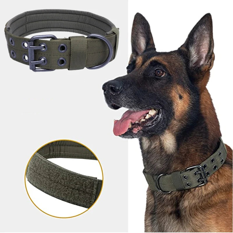 Adjustable Metal Double Buckle Tactical Dog Collar Luxury Designer Training Collar Dog German Shepherd For Medium Large Dogs by Tail chasers