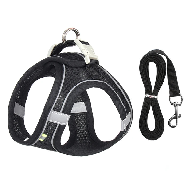 black / l 8-12 kg