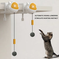 Self-Play Exercise Toy For Cats