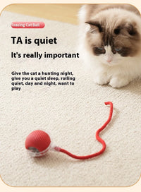 Rechargeable Interactive Smart Cat Toy