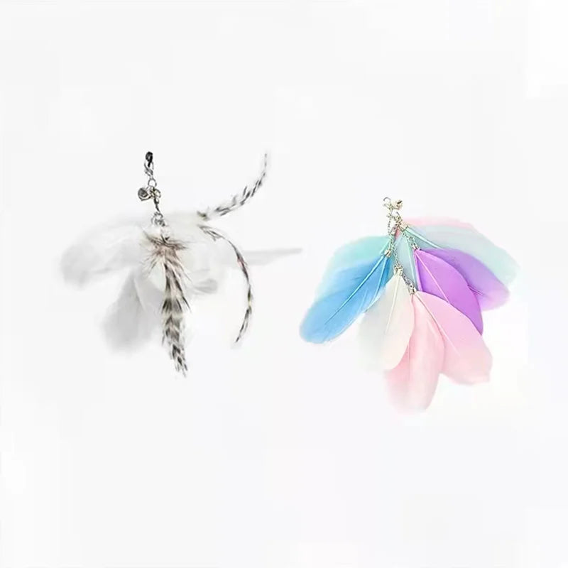 Realistic Bird Interactive Toy by Tail chasers