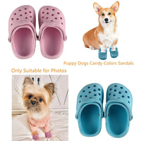 Thickened Hole Dog Shoes