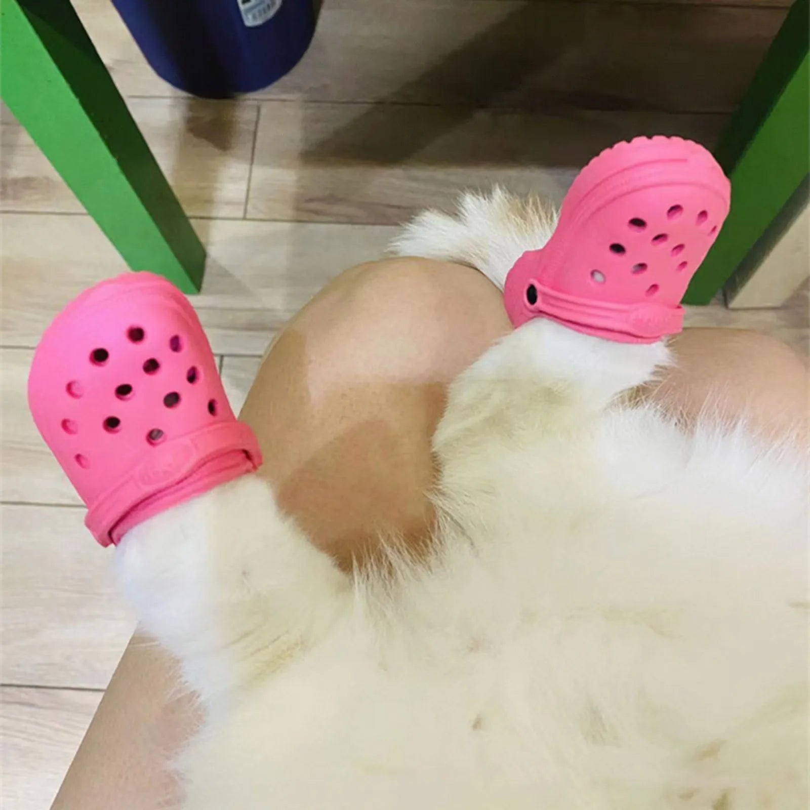 Thickened Hole Dog Shoes