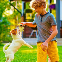 Cartoon Dog Plush Toy