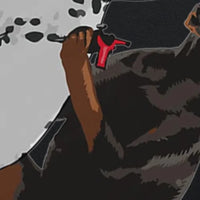 Doberman Dalmatian Dog T-Shirt