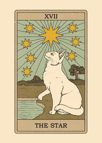 Black and White Cat Tarot Canvas Poster Good Luck Wall Art Pictures for Living Room Bedroom Playroom Modern Home Decor Gift by Tail chasers