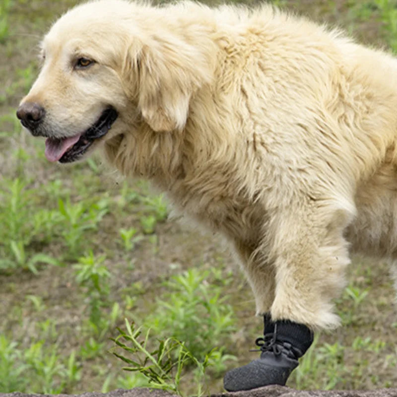 No-Fall-Off Summer Dog Shoes