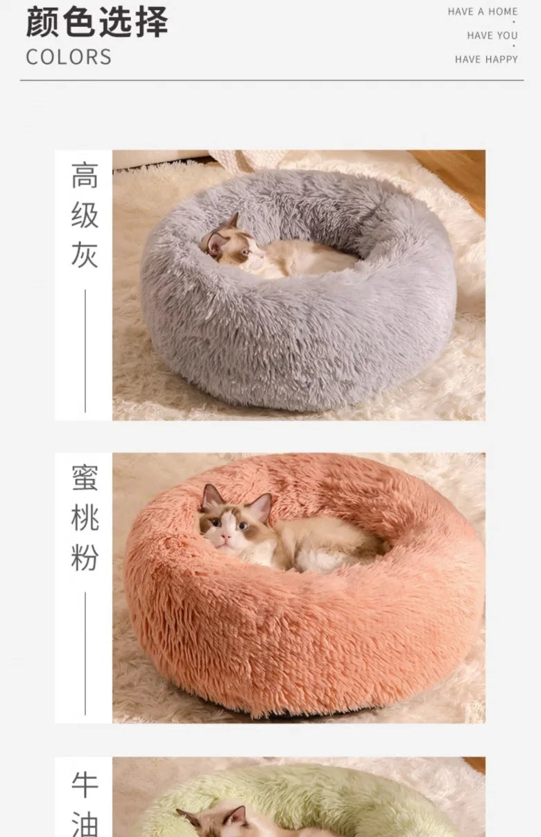 All-Season Cat Beds