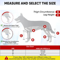 Sdf6774008027400a9d4f6877c521b3d8l
