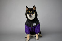 Winter Dog Down Jacket - Warm Thick Vest