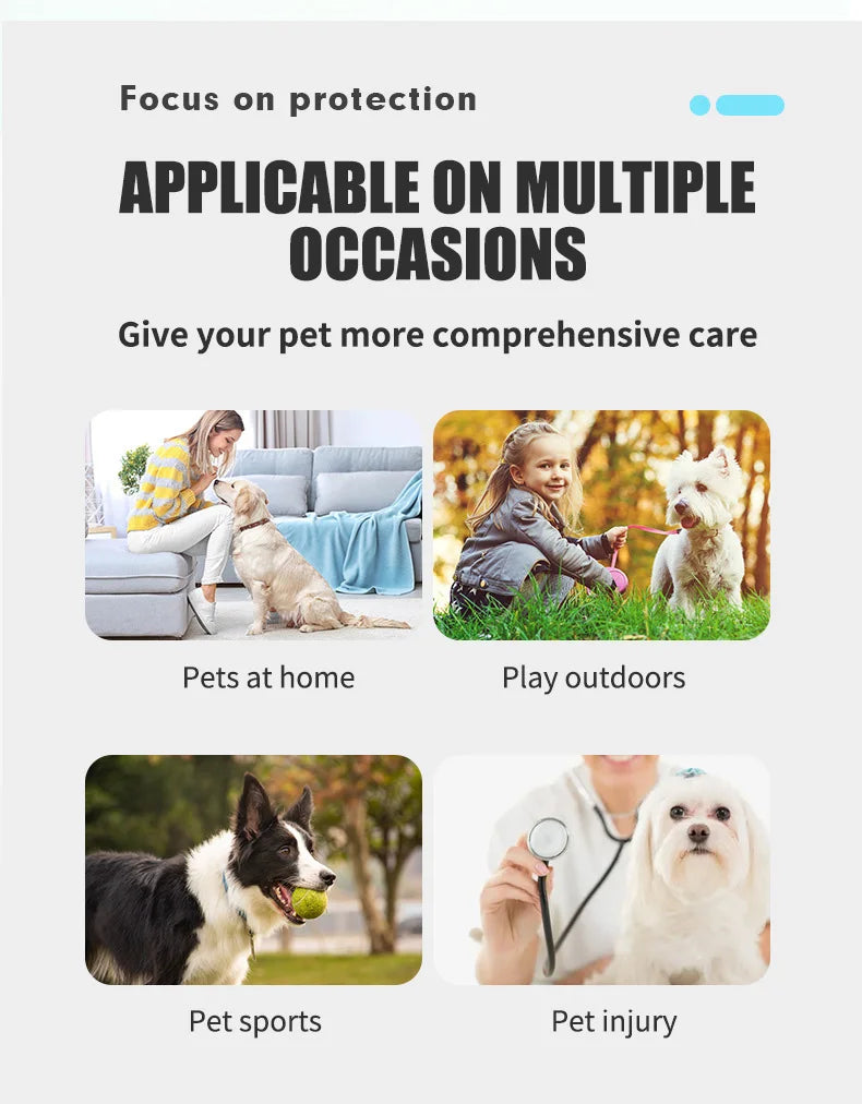 No-Fall-Off Summer Dog Shoes