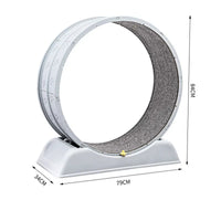 Large Exercise Wheel for Active Cats