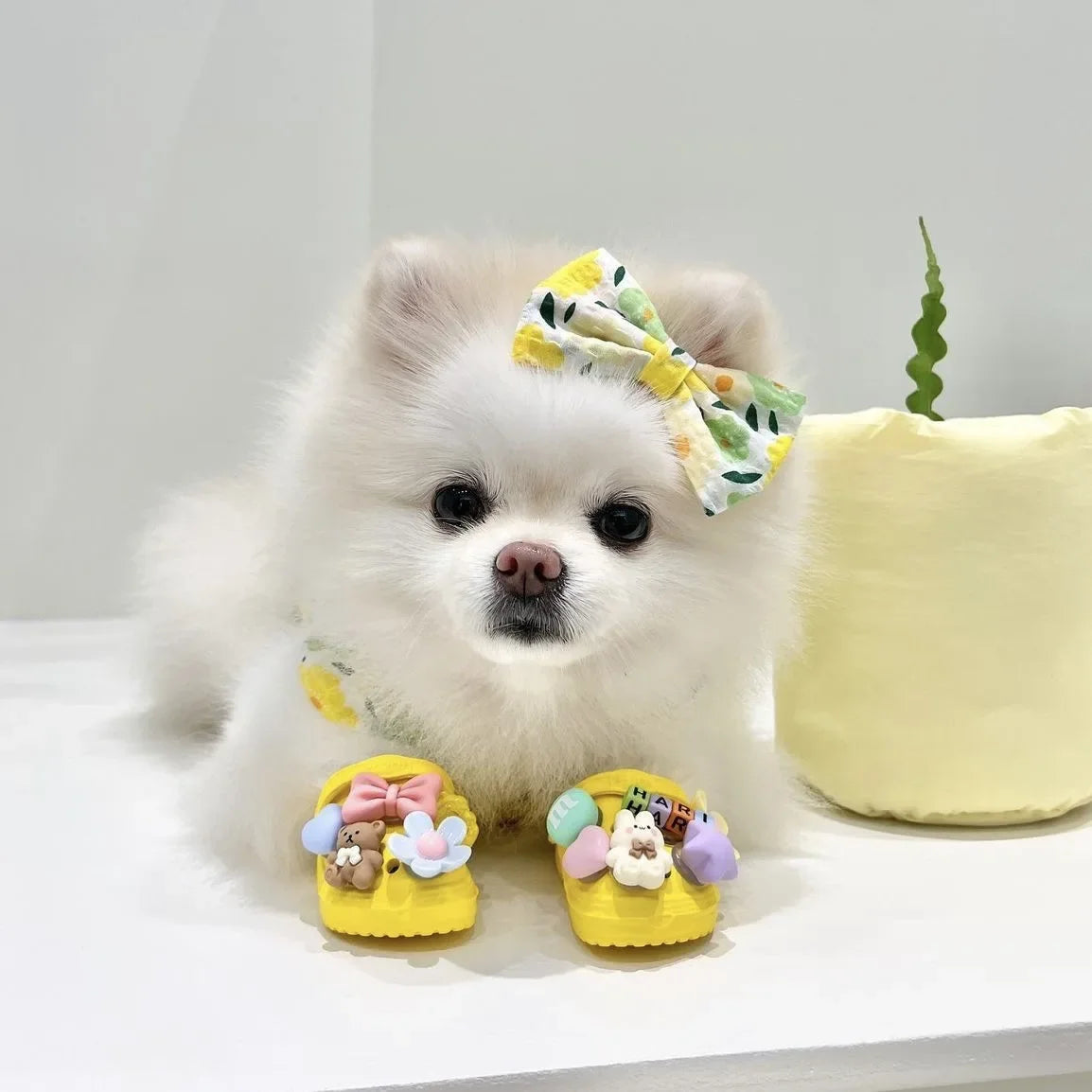 🏖️ Trendy Pet Beach Shoes - Instagram-Worthy Breathable Paradise with DIY Charm