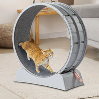 31-Inch Cat Exercise Wheel