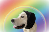 Professional Dog Noise Reduction Earmuffs - Hearing Protection for Anxious Pets by Tail chasers