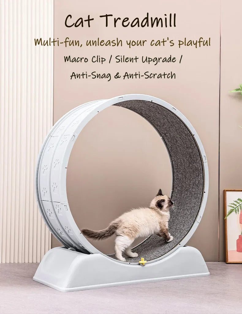 Silent Cat Exercise Wheel