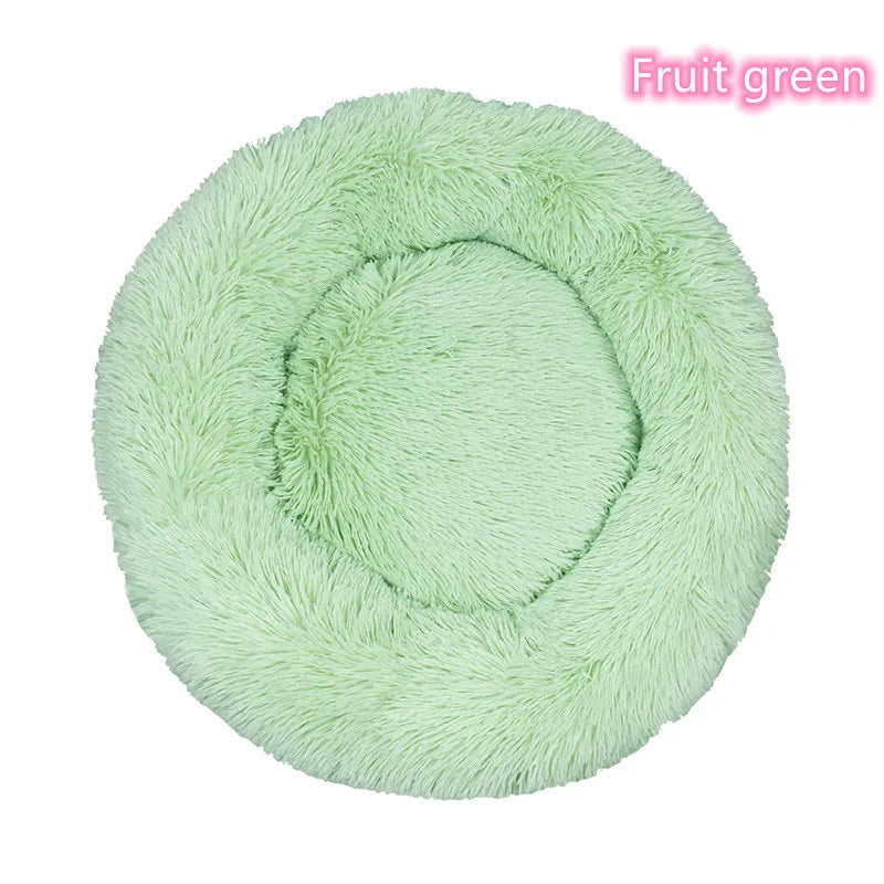 Fruit Green / XL