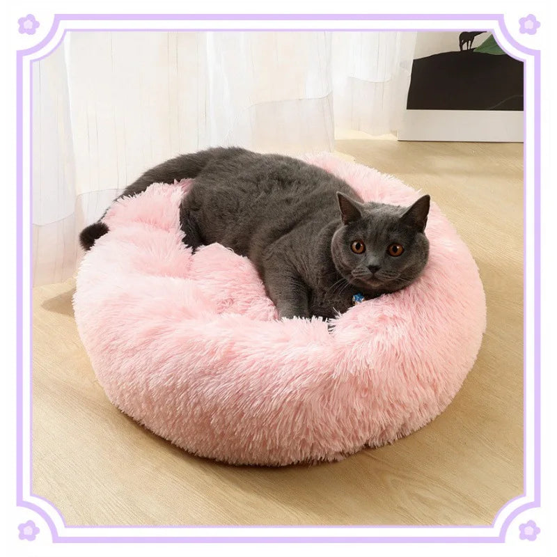 All-Season Cat Beds