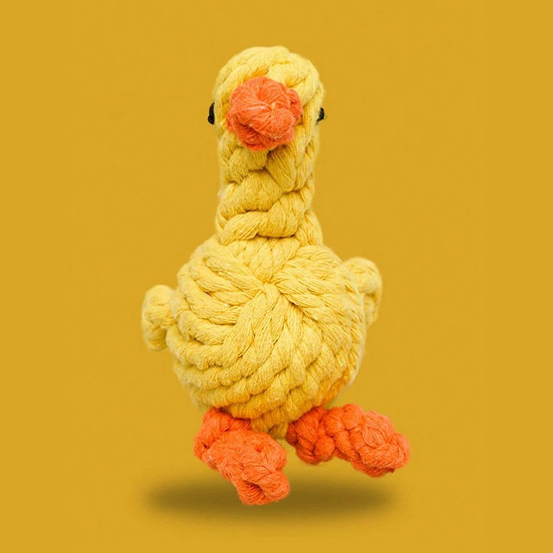 Little Duck