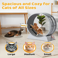 31-Inch Cat Exercise Wheel