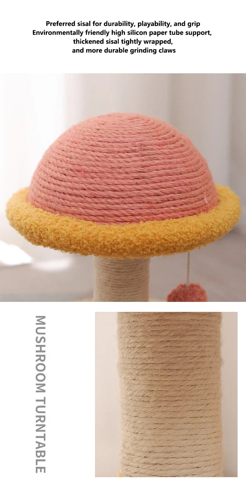 Interactive Cat Scratching Board - Wood Carousel Puzzle & Claw Care Station