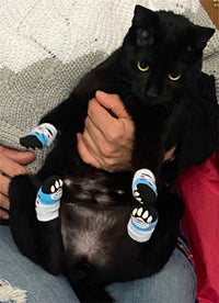 Pet Knit Sock Slippers - 4-Piece