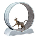 Large Exercise Wheel for Active Cats