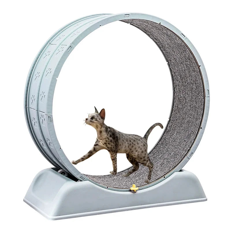 Silent Cat Exercise Wheel