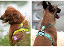 No-Pull Reflective Dog Harness - Adjustable Vest