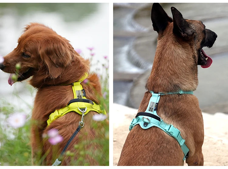 No-Pull Reflective Dog Harness - Adjustable Vest