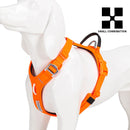 No-Pull Reflective Dog Harness - Adjustable Vest