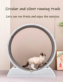 Silent Cat Exercise Wheel