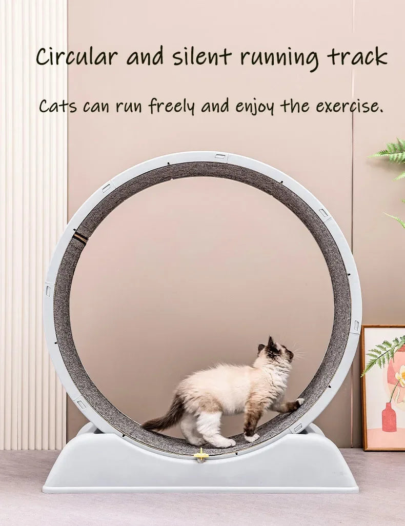 Silent Cat Exercise Wheel