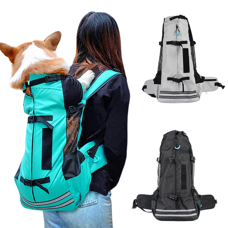 Pet Carriers Stylish & Dependable