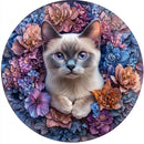 Sfa552c6511d34621b77f5e94af0bdebfZ