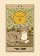 Black and White Cat Tarot Canvas Poster Good Luck Wall Art Pictures for Living Room Bedroom Playroom Modern Home Decor Gift by Tail chasers