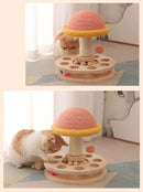 Interactive Cat Scratching Board - Wood Carousel Puzzle & Claw Care Station