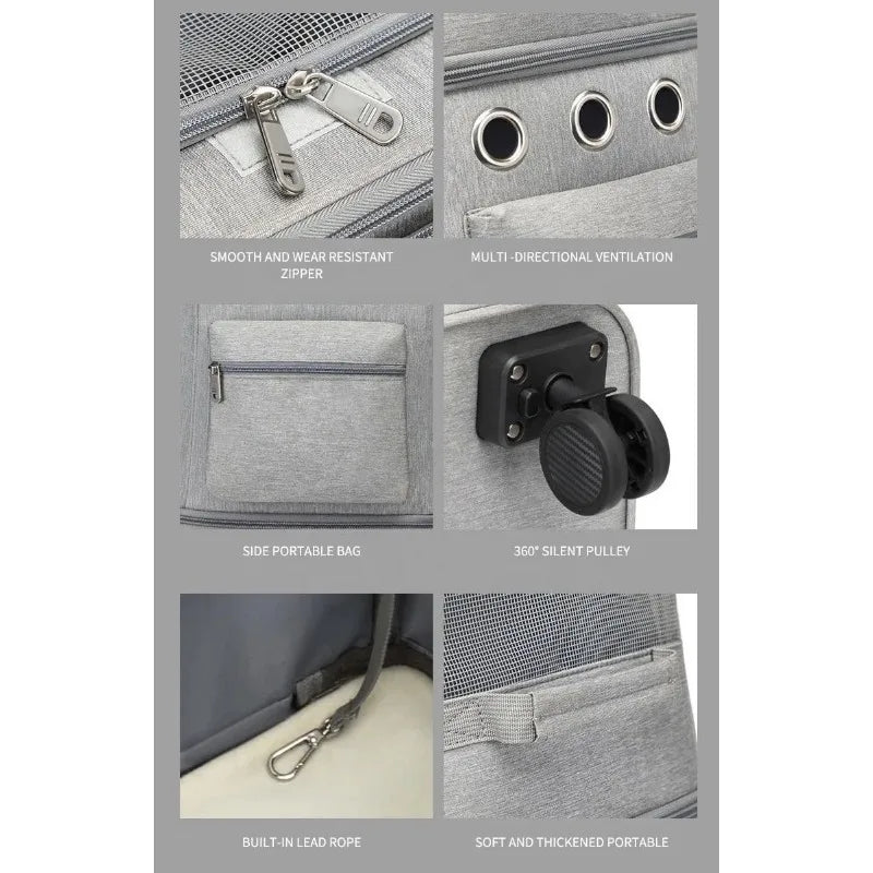 Sfd4082435f004da3b03150329d128dd7W