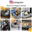 Elevated Pet Bed - Breathable Mesh for Medium & Large Dogs/Cats