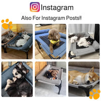 Elevated Pet Bed - Breathable Mesh for Medium & Large Dogs/Cats