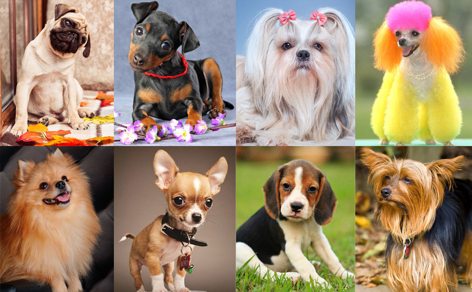 Pro Dog Training Clicker - Wrist Strap Trainer