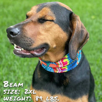 Bedouin Paws Pup Scruff-2