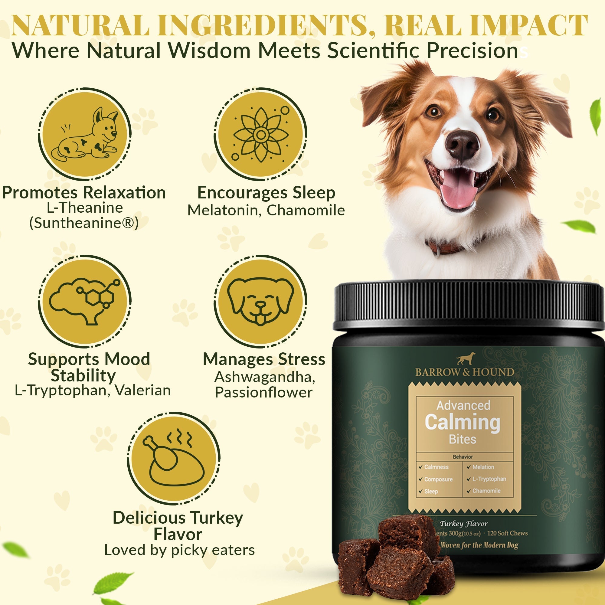 Calming Bites for Dogs - Natural Stress & Anxiety Relief Treats