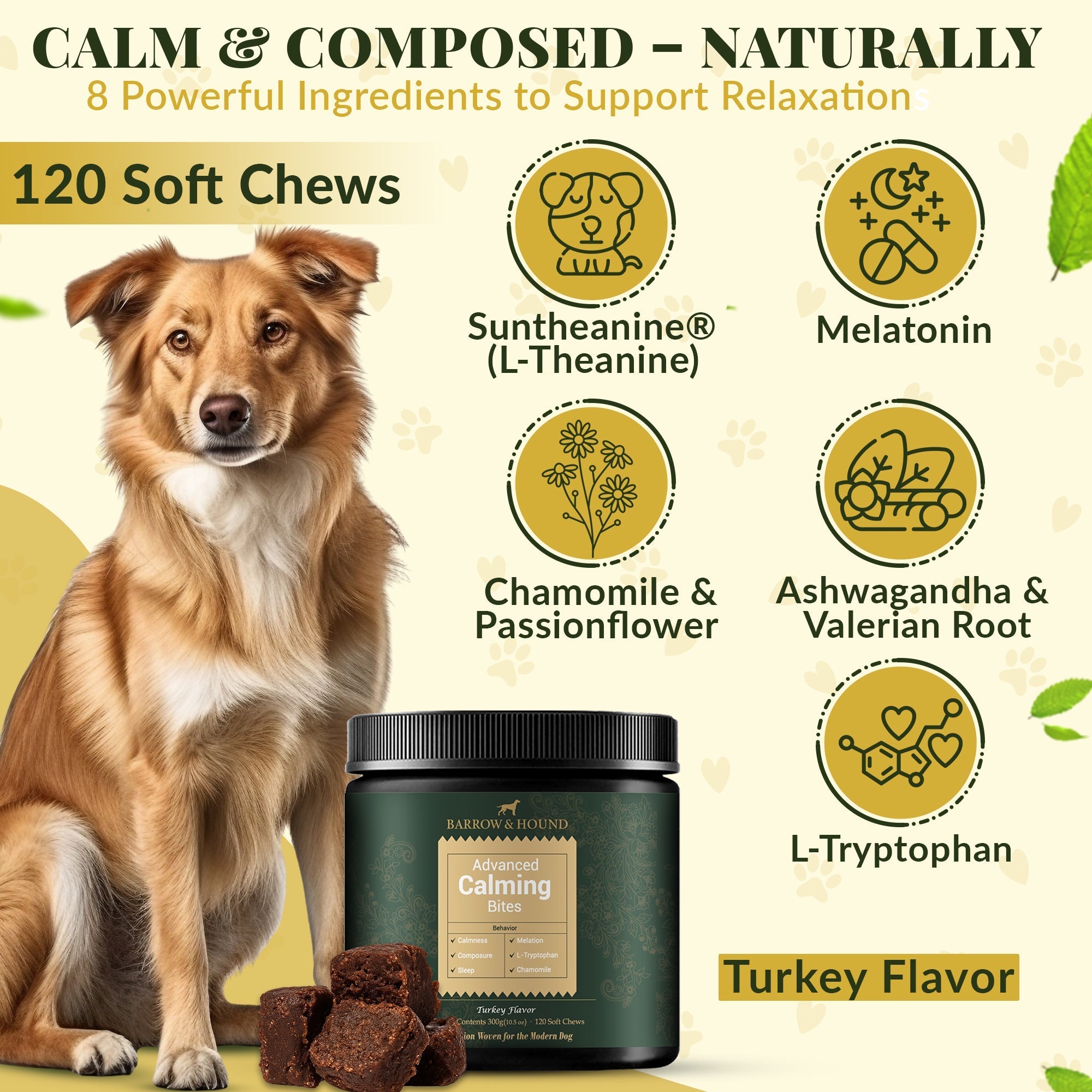 Calming Bites for Dogs - Natural Stress & Anxiety Relief Treats