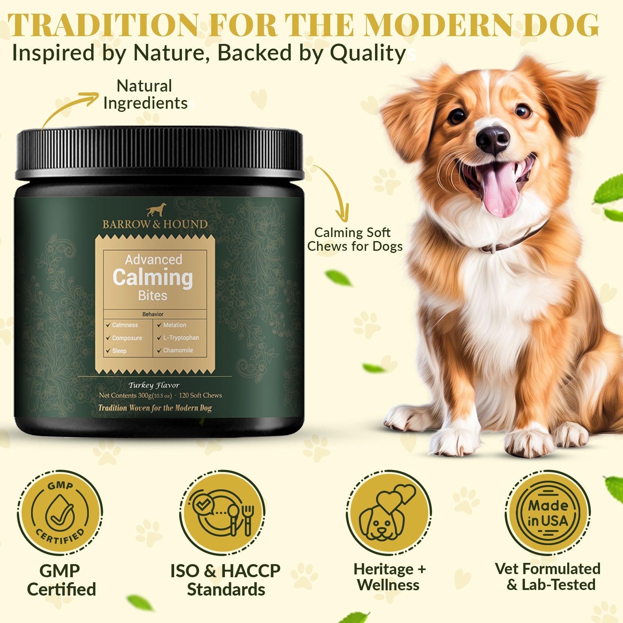 Calming Bites for Dogs - Natural Stress & Anxiety Relief Treats